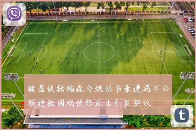 键盘侠杨瀚森与姚明书豪遭遇不公埃迪被调戏愤怒反击引发热议