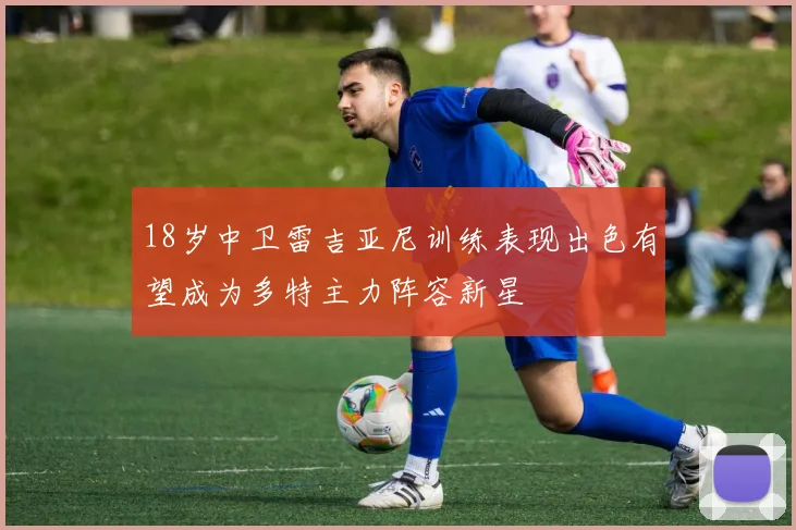 18岁中卫雷吉亚尼训练表现出色有望成为多特主力阵容新星
