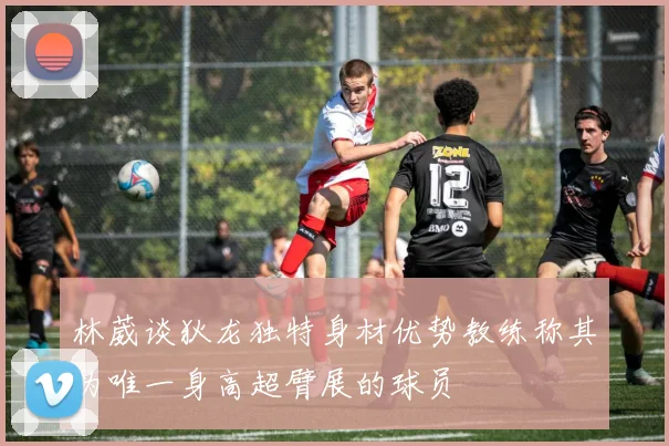 林葳谈狄龙独特身材优势教练称其为唯一身高超臂展的球员